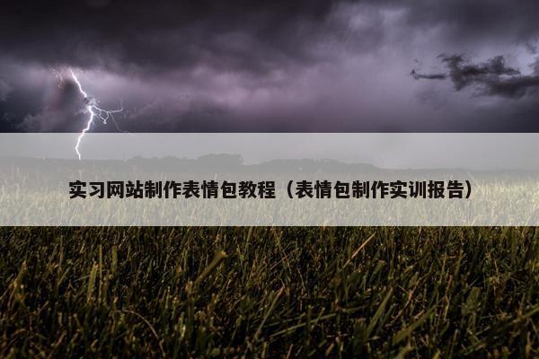 实习网站制作表情包教程（表情包制作实训报告）