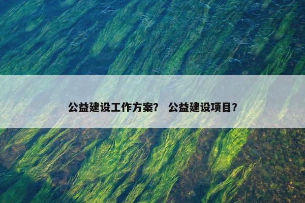 公益建设工作方案？ 公益建设项目？
