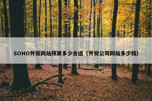 SOHO外贸网站预算多少合适（外贸公司网站多少钱）