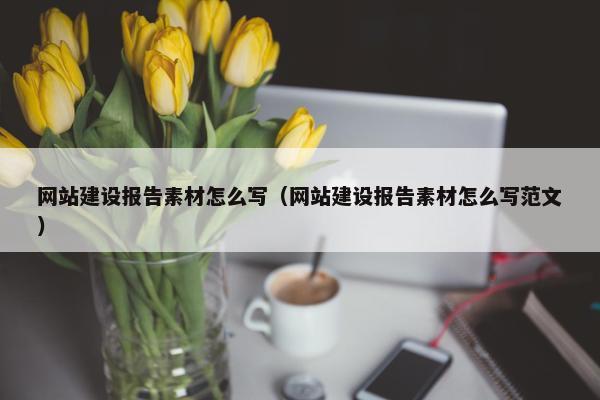 网站建设报告素材怎么写（网站建设报告素材怎么写范文）