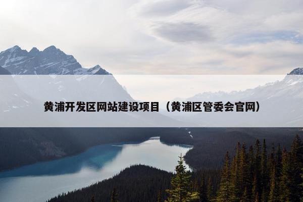 黄浦开发区网站建设项目（黄浦区管委会官网）
