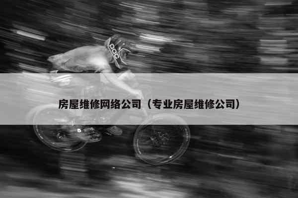 房屋维修网络公司（专业房屋维修公司）