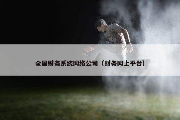 全国财务系统网络公司（财务网上平台）