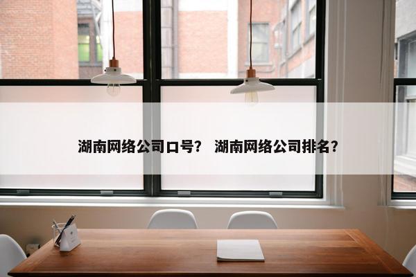 湖南网络公司口号？ 湖南网络公司排名？