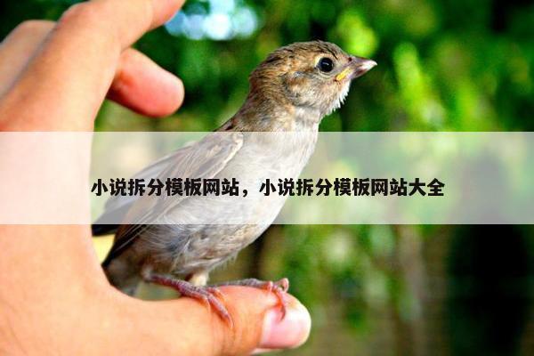 小说拆分模板网站，小说拆分模板网站大全