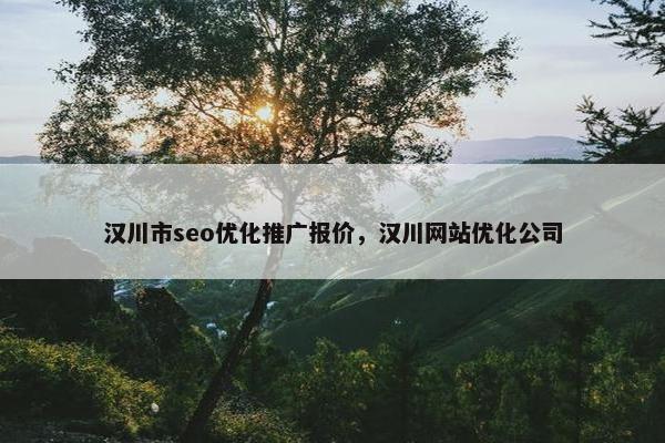 汉川市seo优化推广报价，汉川网站优化公司