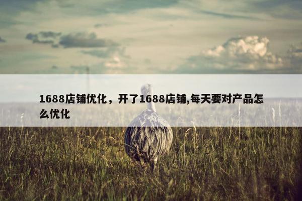 1688店铺优化，开了1688店铺,每天要对产品怎么优化
