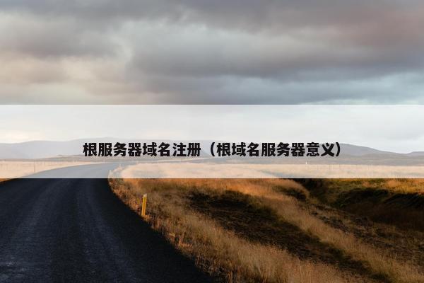 根服务器域名注册（根域名服务器意义）