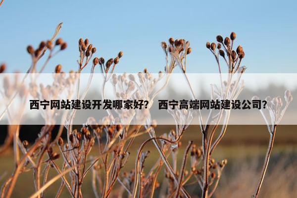 西宁网站建设开发哪家好？ 西宁高端网站建设公司？