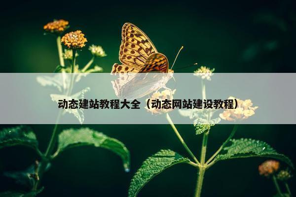 动态建站教程大全（动态网站建设教程）