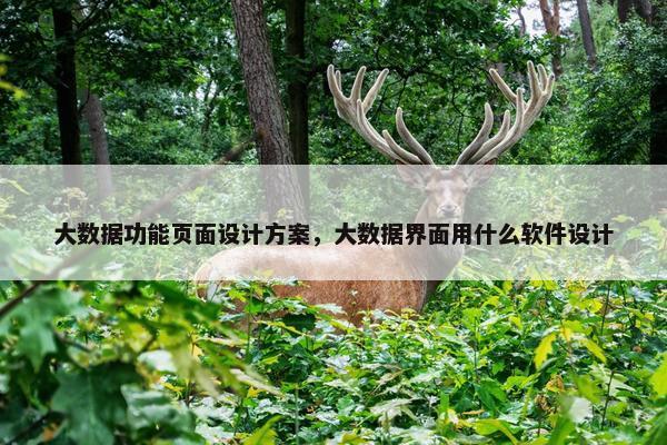 大数据功能页面设计方案，大数据界面用什么软件设计