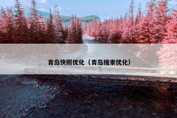 青岛快照优化（青岛搜索优化）
