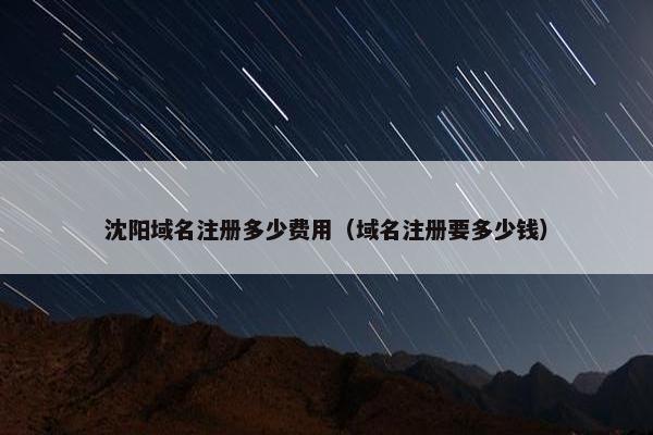 沈阳域名注册多少费用（域名注册要多少钱）