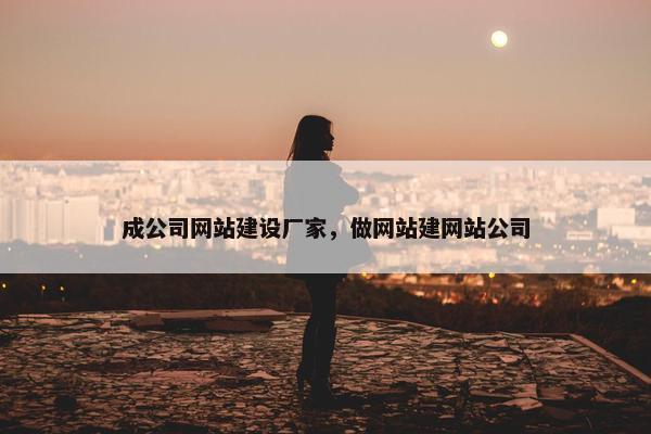 成公司网站建设厂家，做网站建网站公司