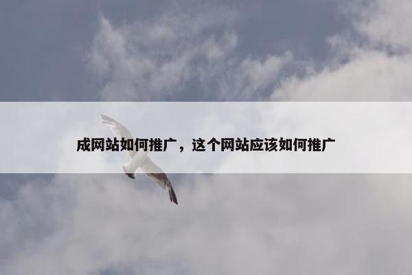 成网站如何推广，这个网站应该如何推广