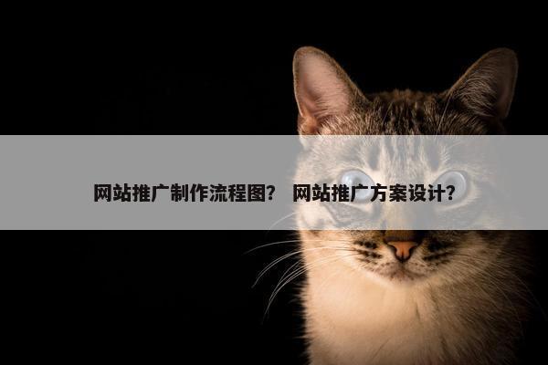 网站推广制作流程图？ 网站推广方案设计？