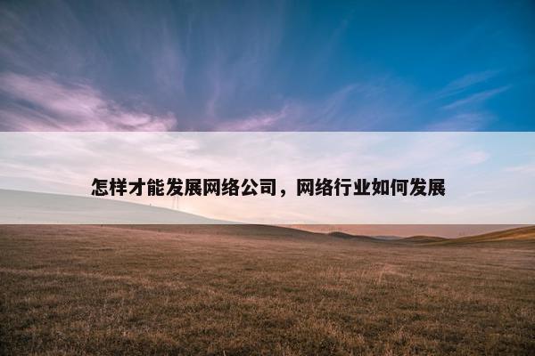 怎样才能发展网络公司，网络行业如何发展