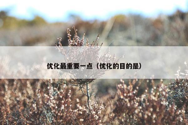 优化最重要一点（优化的目的是）