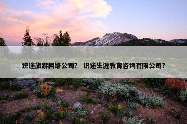 识途旅游网络公司？ 识途生涯教育咨询有限公司？