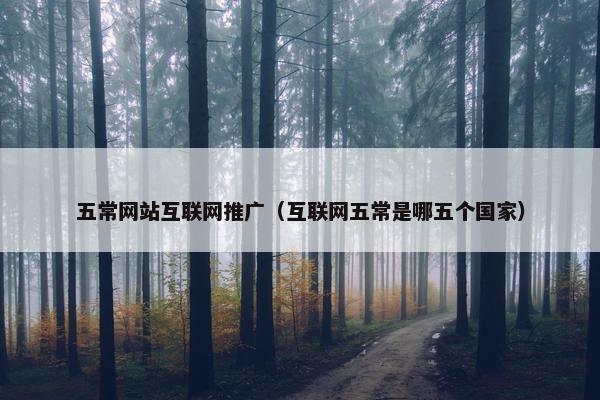 五常网站互联网推广（互联网五常是哪五个国家）