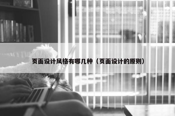 页面设计风格有哪几种（页面设计的原则）