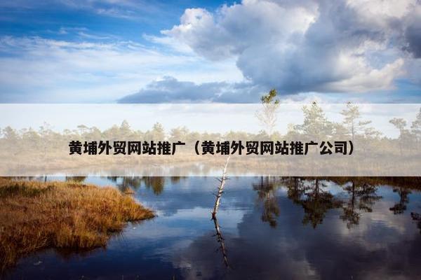 黄埔外贸网站推广（黄埔外贸网站推广公司）