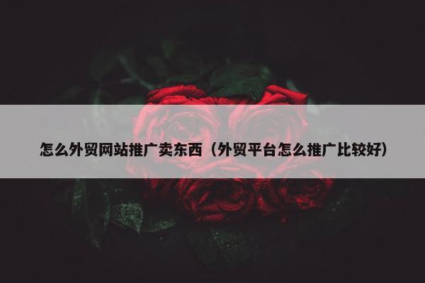 怎么外贸网站推广卖东西（外贸平台怎么推广比较好）