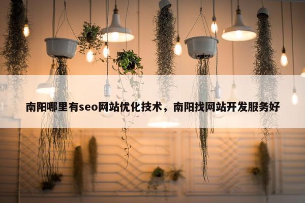 南阳哪里有seo网站优化技术，南阳找网站开发服务好