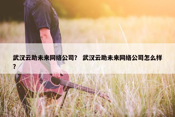 武汉云助未来网络公司？ 武汉云助未来网络公司怎么样？
