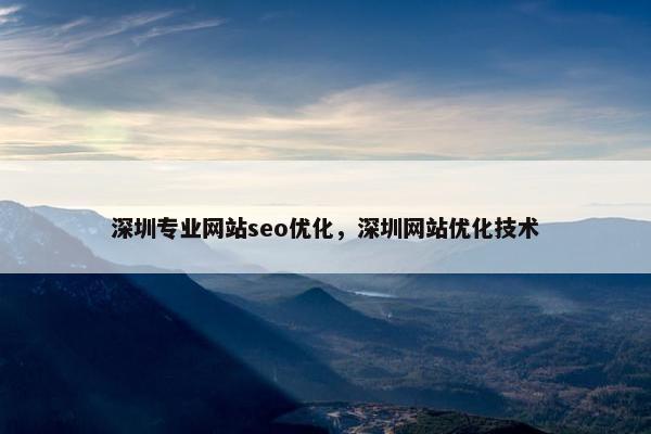 深圳专业网站seo优化，深圳网站优化技术