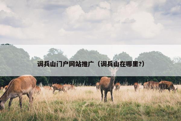 调兵山门户网站推广（调兵山在哪里?）