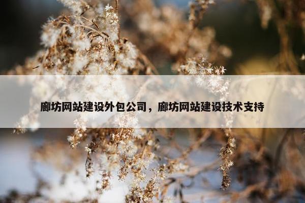 廊坊网站建设外包公司，廊坊网站建设技术支持