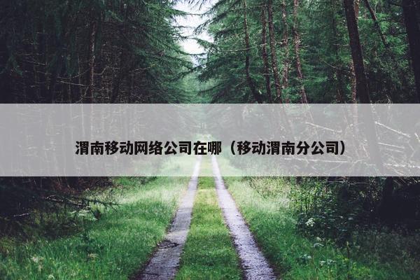 渭南移动网络公司在哪（移动渭南分公司）