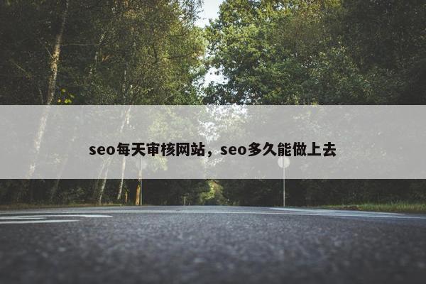 seo每天审核网站，seo多久能做上去