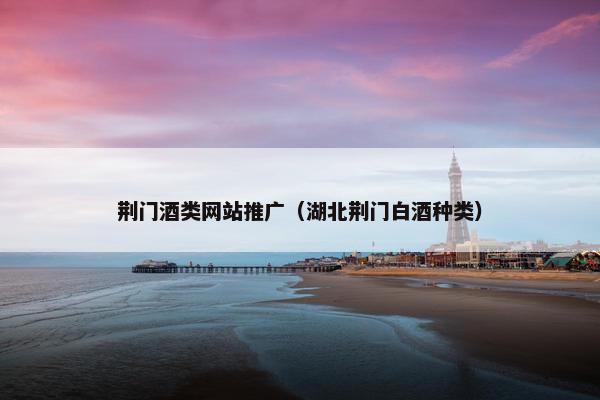 荆门酒类网站推广（湖北荆门白酒种类）