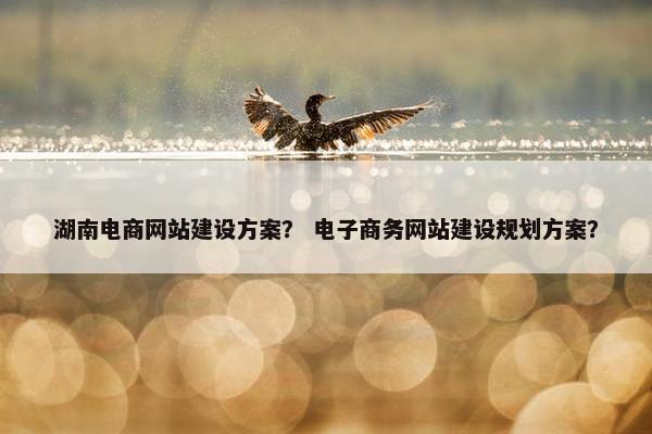 湖南电商网站建设方案？ 电子商务网站建设规划方案？