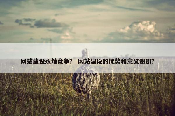 网站建设永灿竞争？ 网站建设的优势和意义谢谢？
