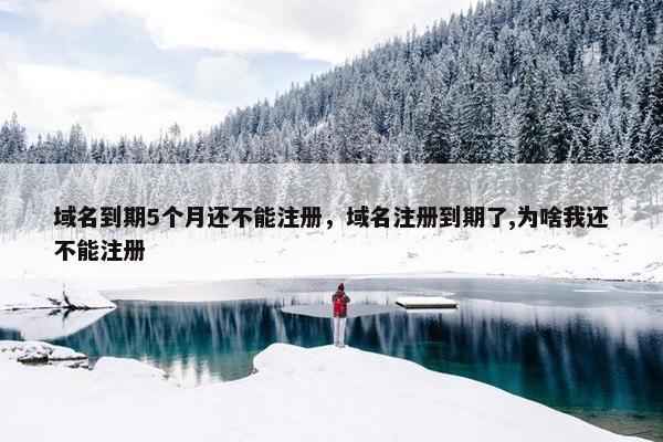 域名到期5个月还不能注册，域名注册到期了,为啥我还不能注册