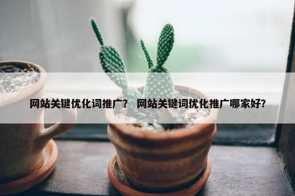网站关键优化词推广？ 网站关键词优化推广哪家好？