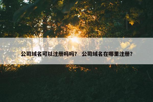 公司域名可以注册吗吗？ 公司域名在哪里注册？