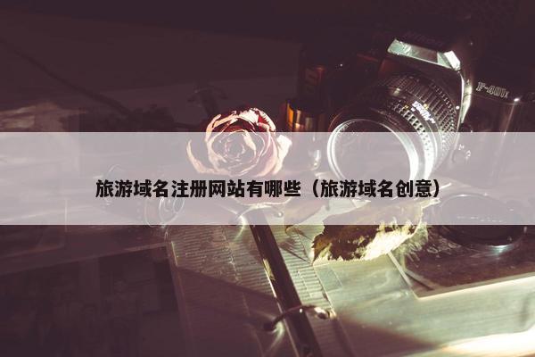 旅游域名注册网站有哪些（旅游域名创意）