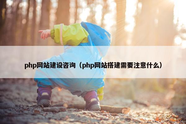 php网站建设咨询（php网站搭建需要注意什么）
