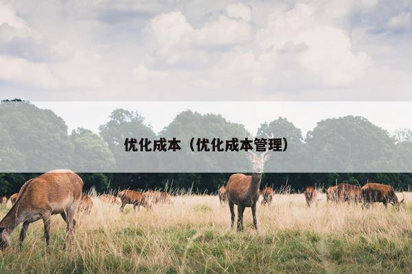 优化成本（优化成本管理）