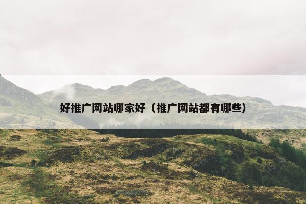 好推广网站哪家好（推广网站都有哪些）