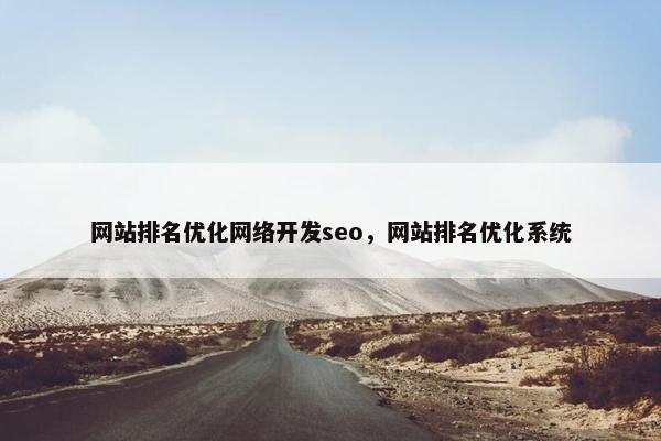 网站排名优化网络开发seo，网站排名优化系统