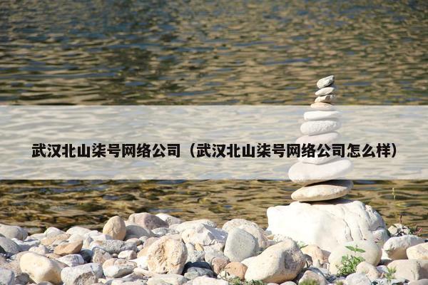 武汉北山柒号网络公司（武汉北山柒号网络公司怎么样）