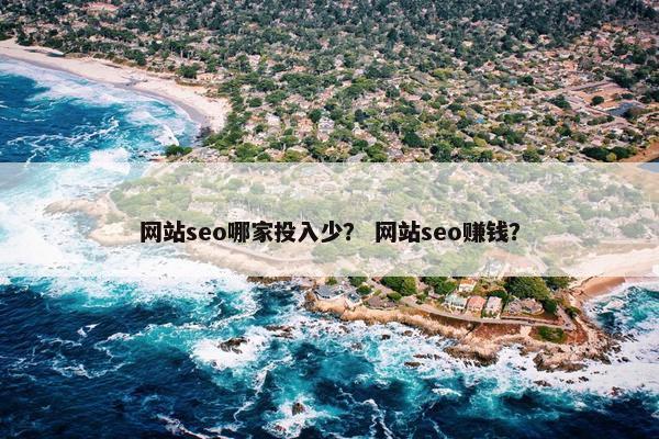网站seo哪家投入少？ 网站seo赚钱？