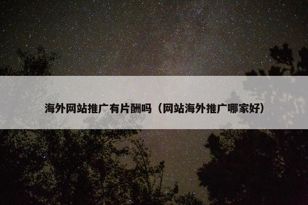 海外网站推广有片酬吗（网站海外推广哪家好）