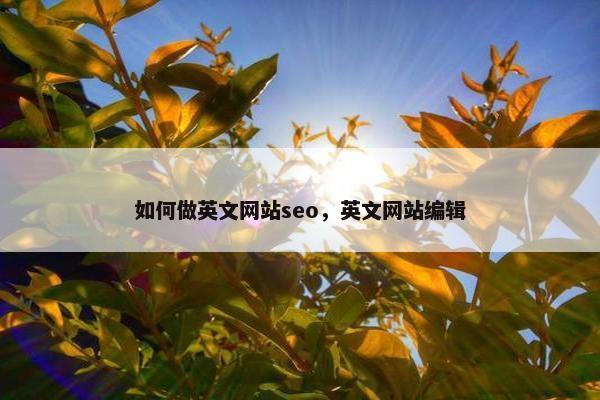 如何做英文网站seo，英文网站编辑