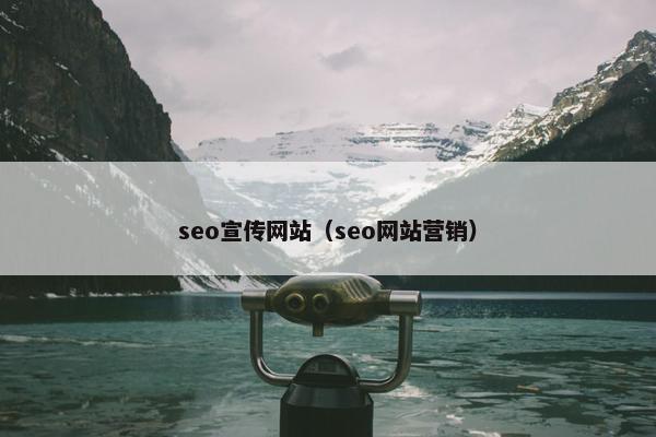 seo宣传网站（seo网站营销）